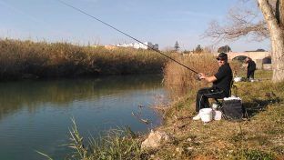 IMG_20170312_090330web