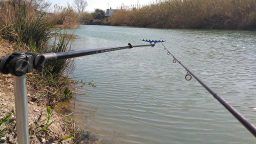 IMG_20170312_113437web